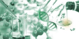 DNA分析技术在侦查破案中的应用