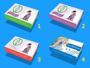 基因检测采集套装