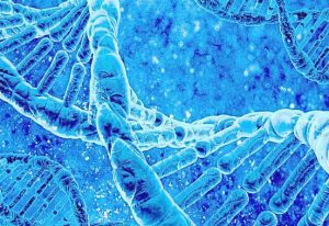 孩子几岁可以做亲子鉴定?