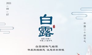 白露凝珠气始寒，华晨阳提醒您注意添衣保暖